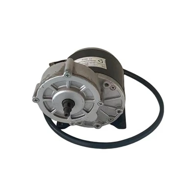 Motore multiuso miniaturizzato da 24 V 350 W