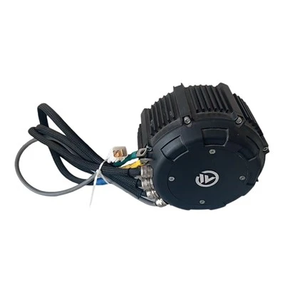 Motore brushless PM interno da 60 V 3000 W