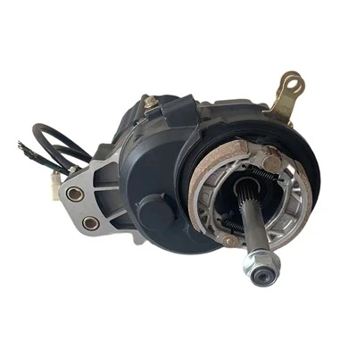 Servomotore CC senza spazzole 72V 1000W PM a due marce